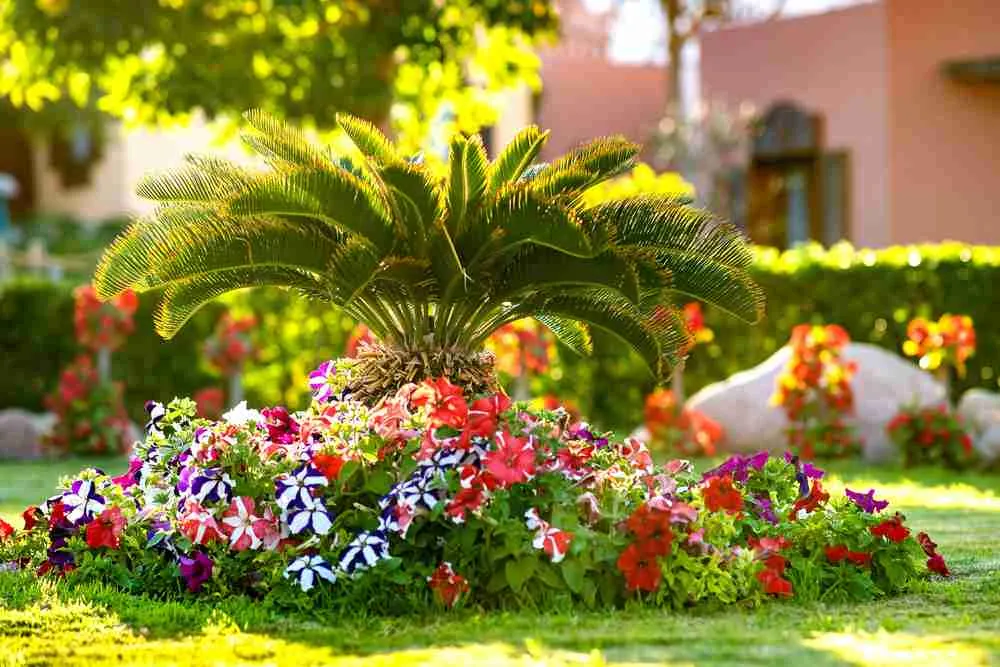 Thirsty for Beauty? Top 5 Drought-Resistant Plants Your Southern Yard Needs Right Now!